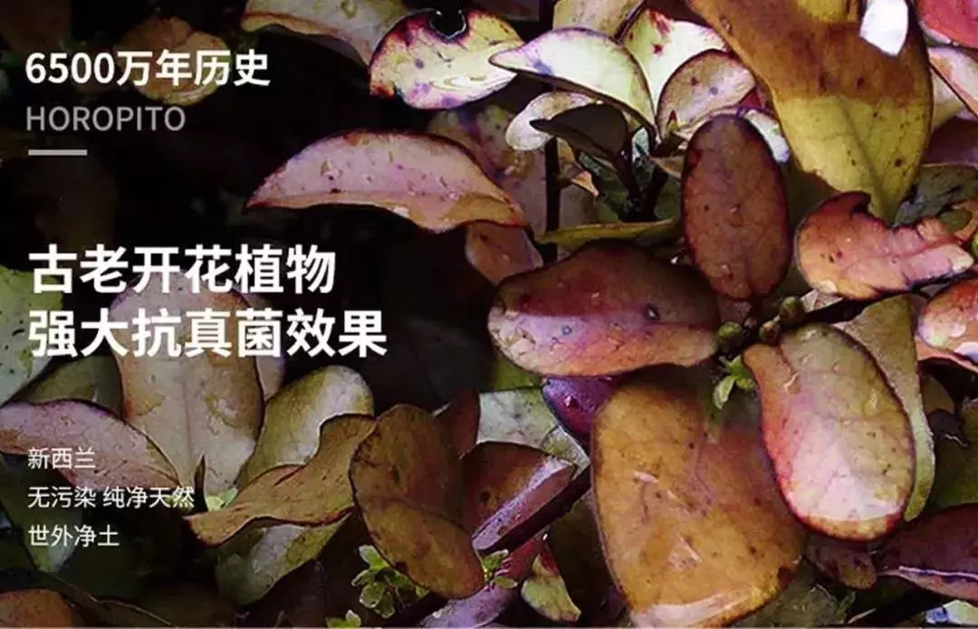 “男朋友的脚堪比生化*器武**!我得治治他!”