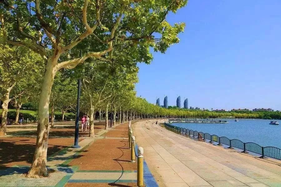 暴露年龄是什么时候,暴露年纪时刻已来临