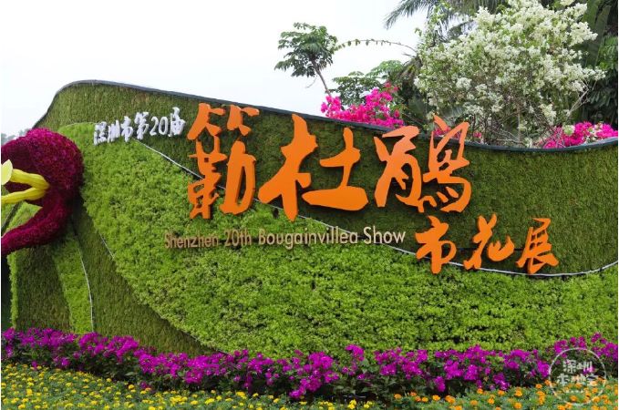 深圳公租房申请审核要6-12个月吗,深圳公租房安居房未来5-10年政策