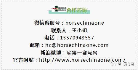 投注额达17.15亿港币,8万余马迷入场观赛!香港元旦赛马日再创新高