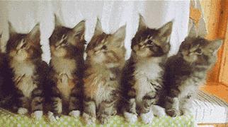 分享100个超级实用的生活小妙招,收藏零食生活小妙招