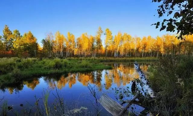 内蒙古自治区车牌顺序,内蒙古的车牌号是怎么分的