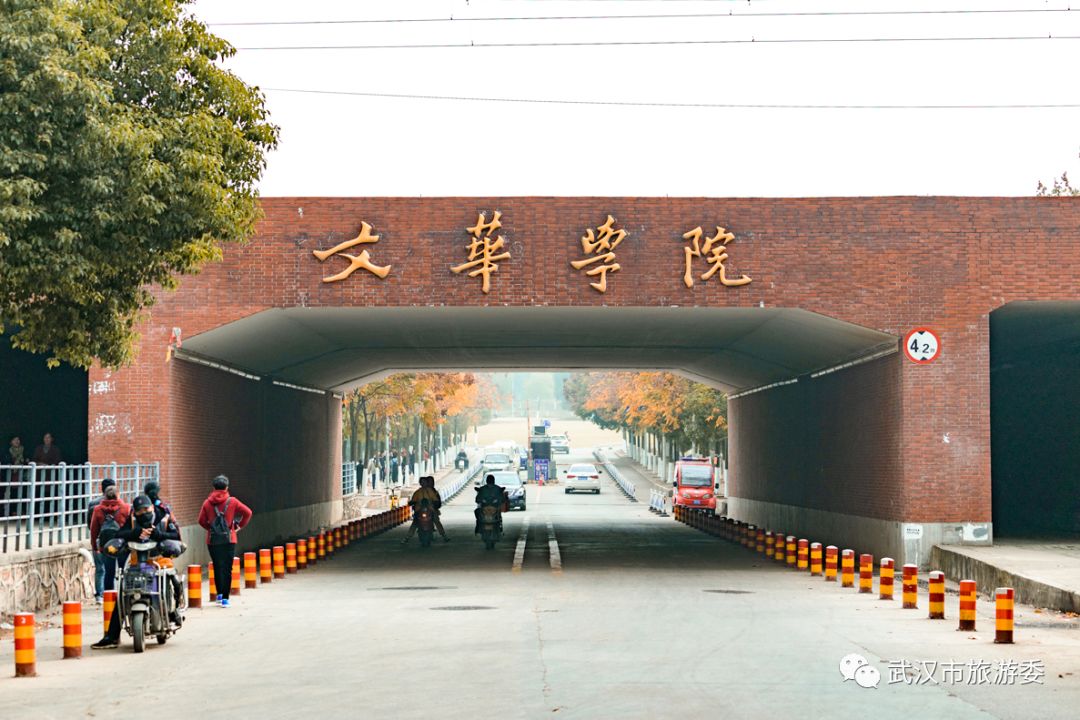 红叶最佳旅游地点武汉,武汉看红叶最好的地方