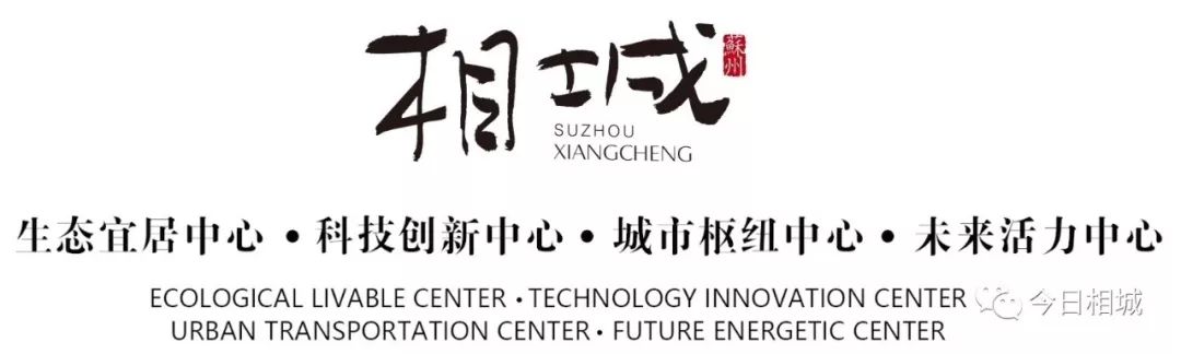 超酷的爷爷奶奶,爷爷奶奶们太酷了完整版