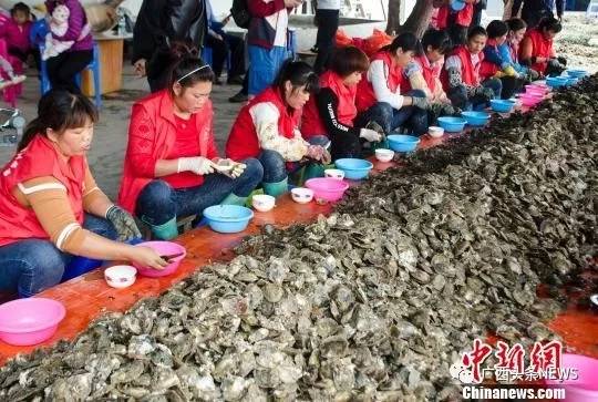 广西再添国家级生态名片,广西再添3个国家湿地公园