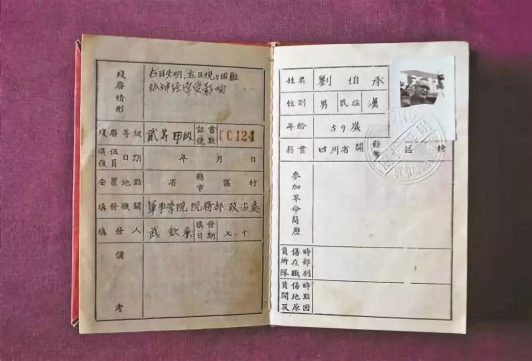 今天，缅怀“军神”*伯承刘**元帅