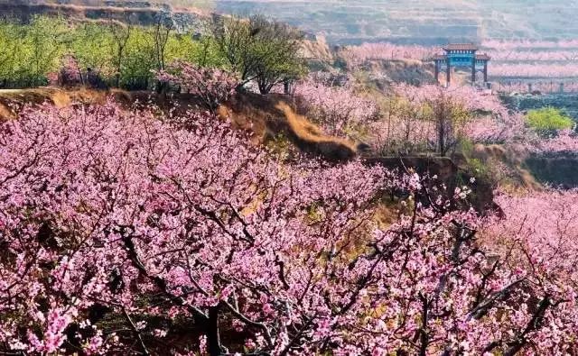 泰山登山证能去哪些地方免费,爬泰山什么证件可以免费