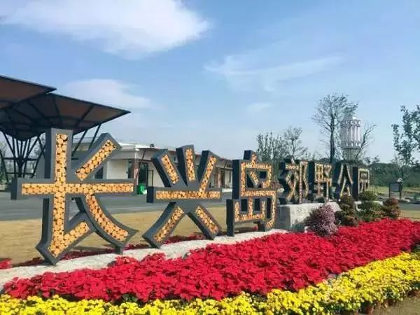 上海浦江郊野公园春节开放吧,上海浦江郊野公园一日游攻略大全