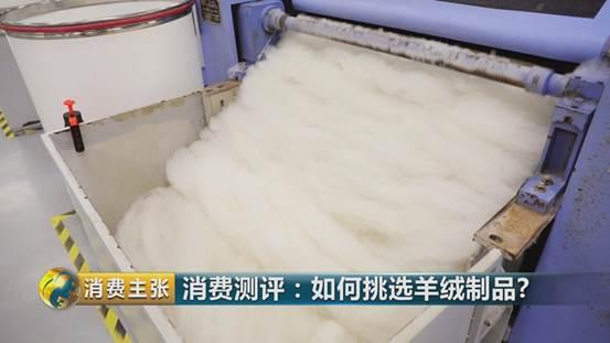 羊绒衫领发黄怎样清洗才正确,学会这一招清洗得干干净净