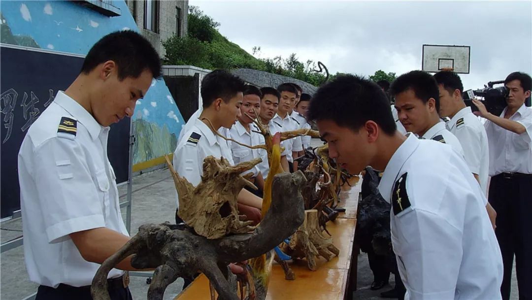 中国最美的篮球场树林,国内最美的十大篮球场