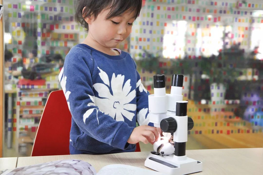 双12给宝宝囤的宝宝用品,双12什么东西适合宝宝囤