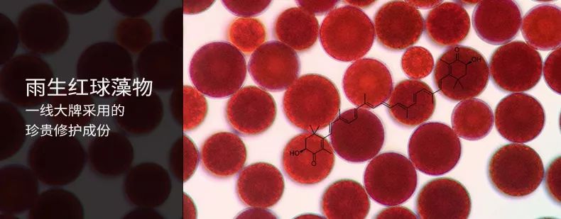 适合黑皮和黄皮的面膜,适合黄皮的mm面膜