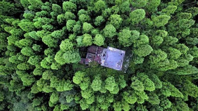 有了绿牌还能拥有大牌,有了绿牌再去拍蓝牌