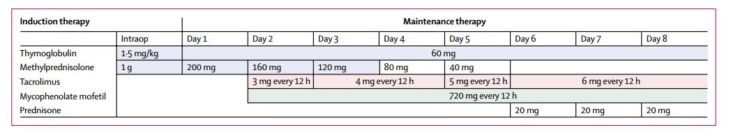柳叶刀死而复生的病人,柳叶刀人造子宫