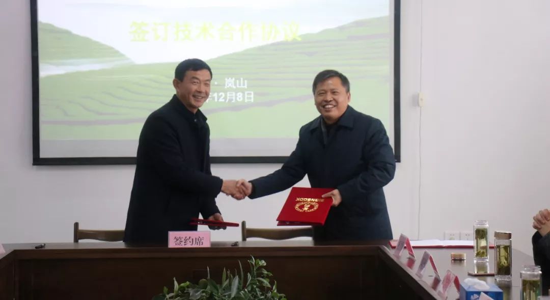 「要闻」大冷天，岚山刮起一场“头脑风暴”这个产业将迎来发展春天！