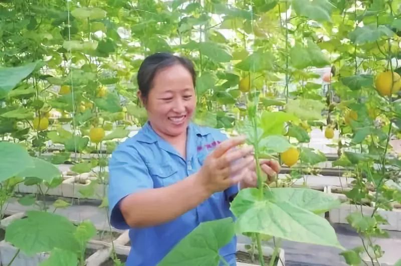 改革开放40年农村经济的变化,农村改革开放40年经济发展