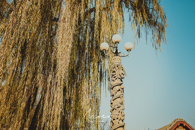 巍巍太行风景无限好,巍巍太行英雄故乡