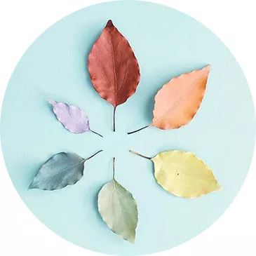 “家家幸福安康工程”之家庭|“与爱同行·为家护航”忻州婚姻家庭公益巡讲走进东大购物中心