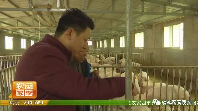 孙堡村的来历,孙堡村简介