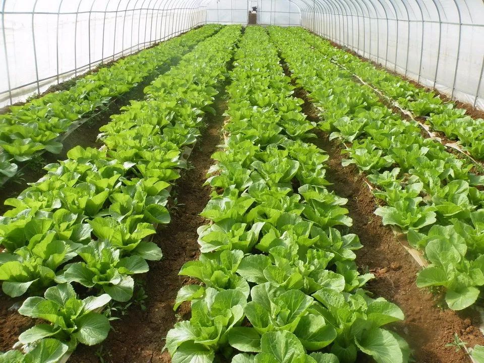 不是三九,胜似三九,小微提醒你千万别“滑冰”!