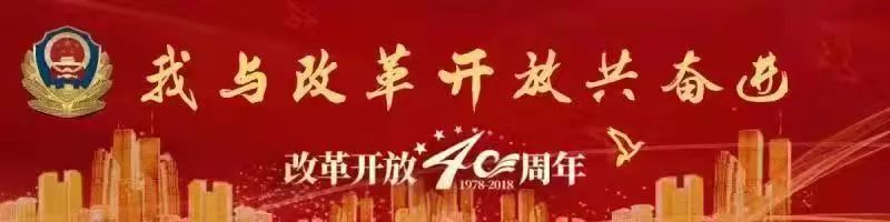 观看电影《片警宝音》观后感,片警宝音影评