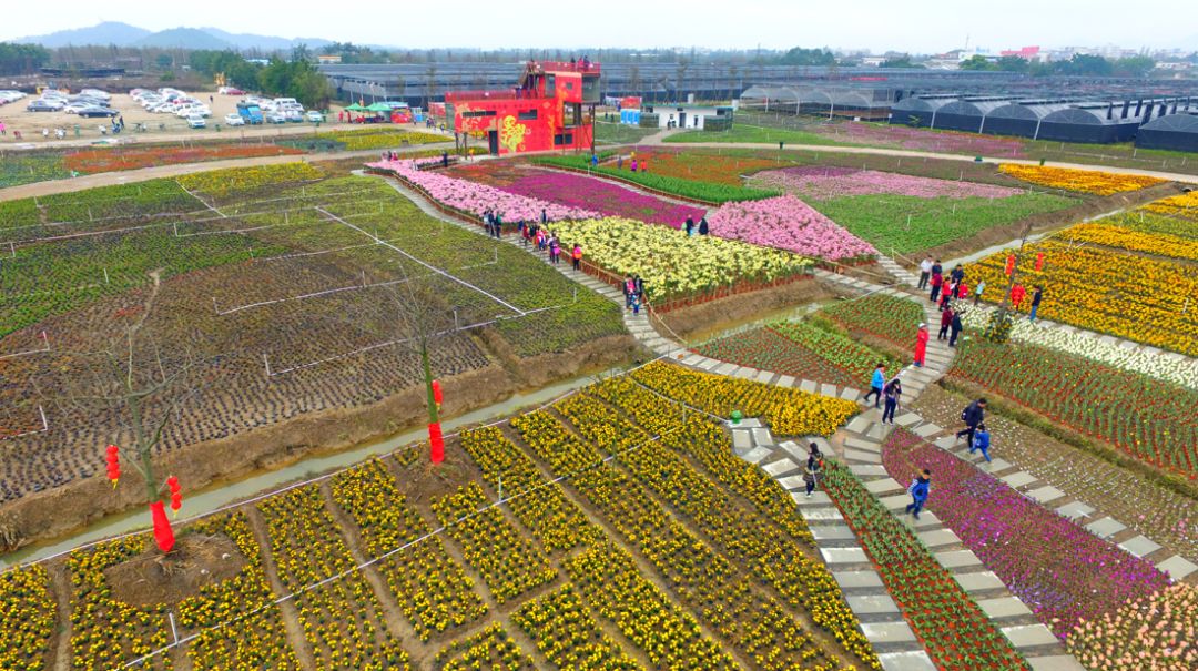 导游应该知道的一些故事,导游是怎么知道每个景点路线的