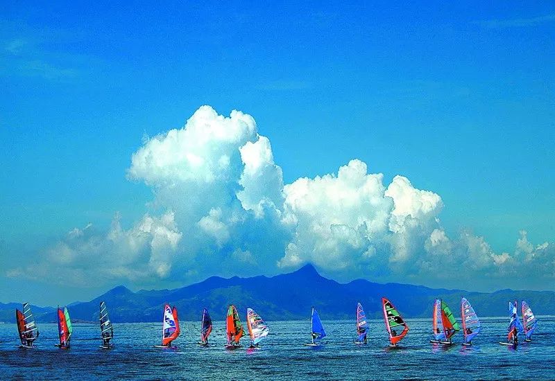 入展作品欣赏,入展作品展示