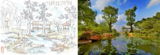 星河湾的企业定位,星河湾产品体系