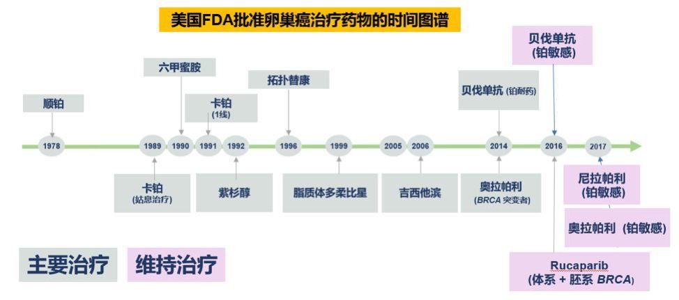 靶向药卵巢癌,治疗卵巢癌的靶向药价格