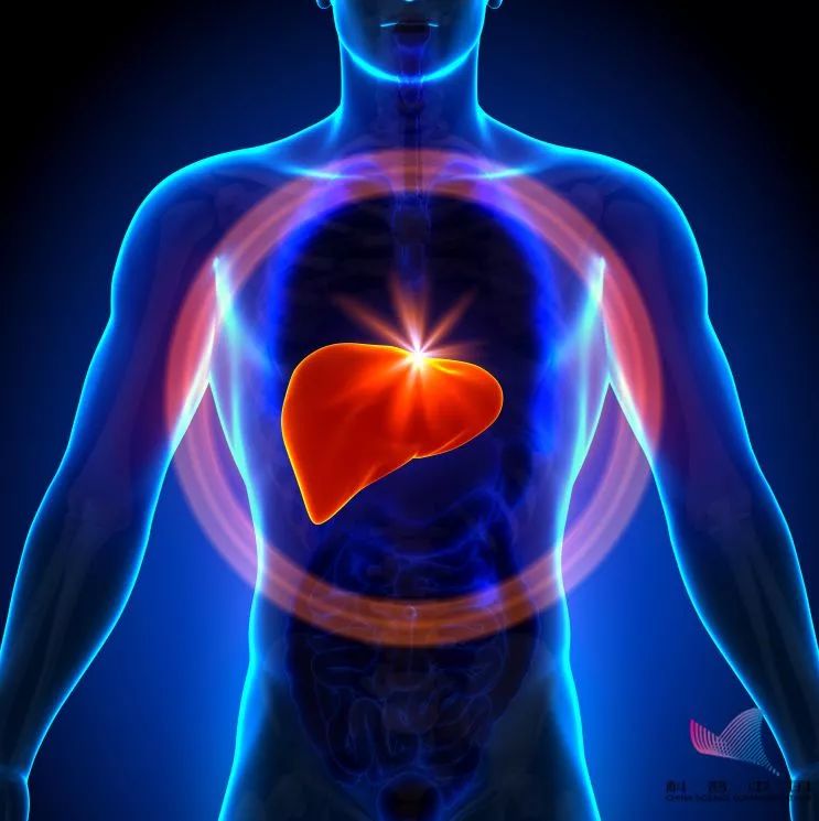 2022年后最早上市的乙肝治愈新药,乙肝新药2022年有希望治好乙肝吗