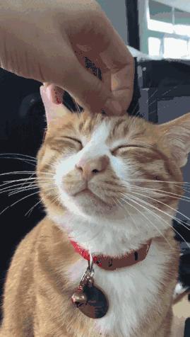 每日一笑你怎么知道的,每日一笑差距