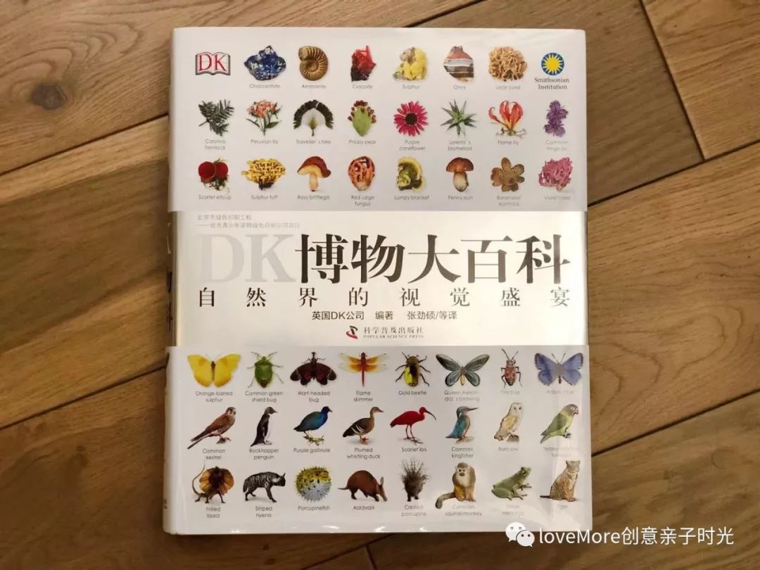 【2019第一次！】等了又等的错过好物都在这儿！季末返团来了~