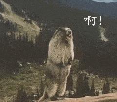 练腿的攻略,练腿诀窍