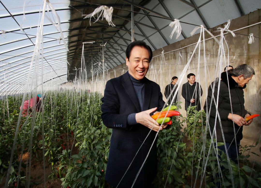 许家印再捐6.5亿支援家乡建设,情系家乡捐款图片