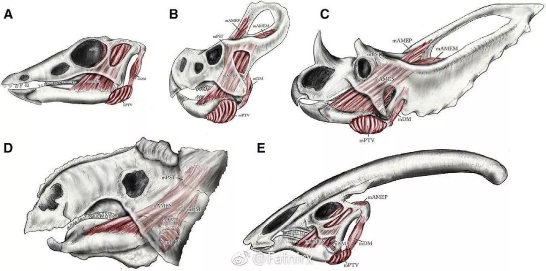 古生物最新发现,古生物化石信息