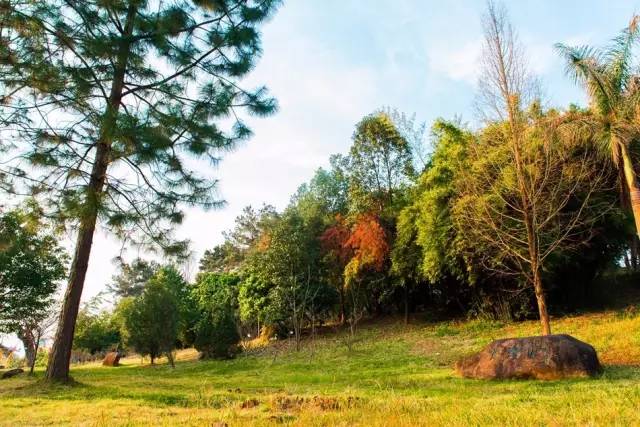 福州一中全国排名,福州一中全国排名第几