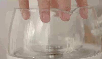 煮茶器适合煮的养生茶,懒人必备煮茶器