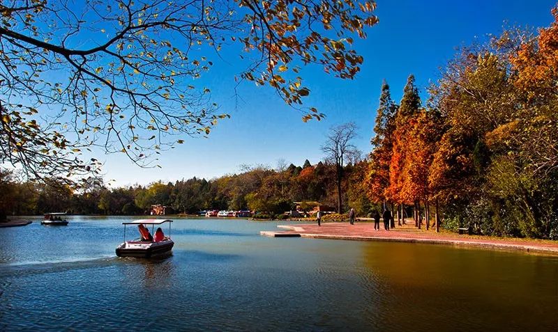 相山公园新增景点,相山公园的变化