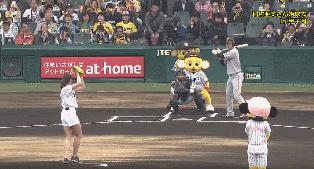 大陆为什么没有壁球馆,为什么大陆很少人打棒球