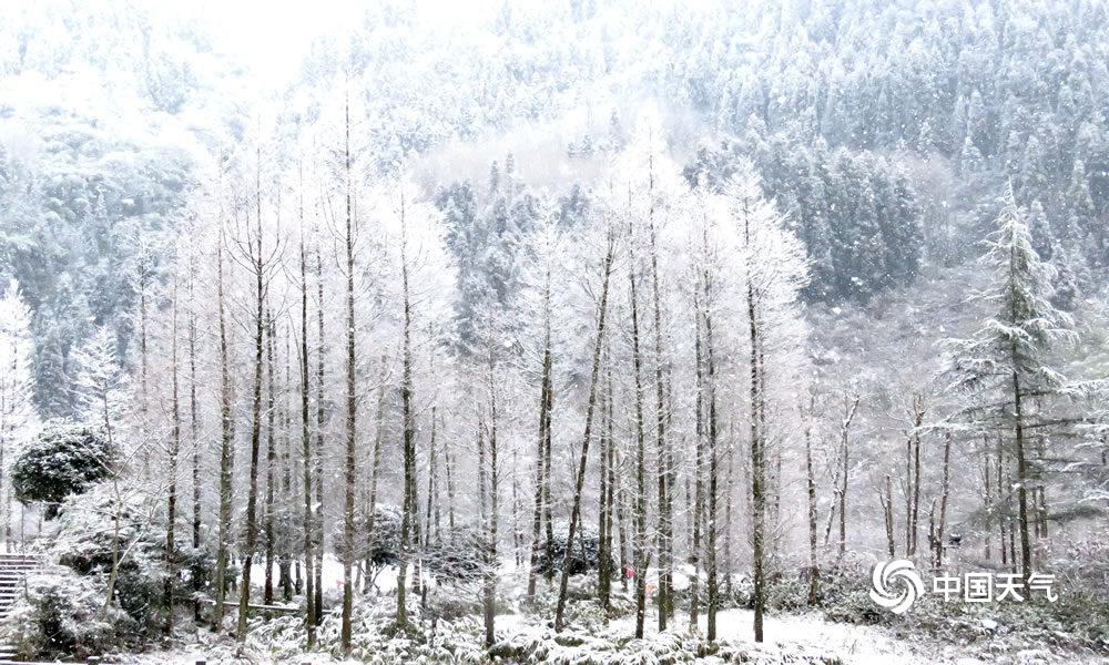 四川西岭雪山远观,成都西岭雪山美成童话世界
