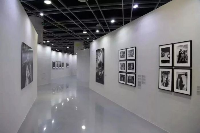 闪电麦昆的视频,麦昆现在的消息