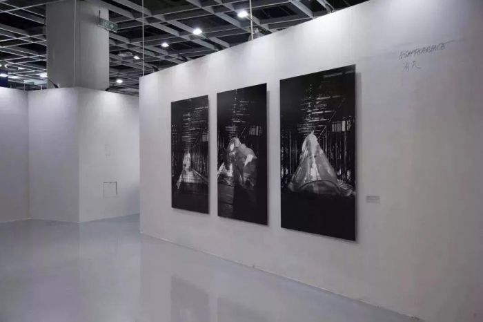 闪电麦昆的视频,麦昆现在的消息