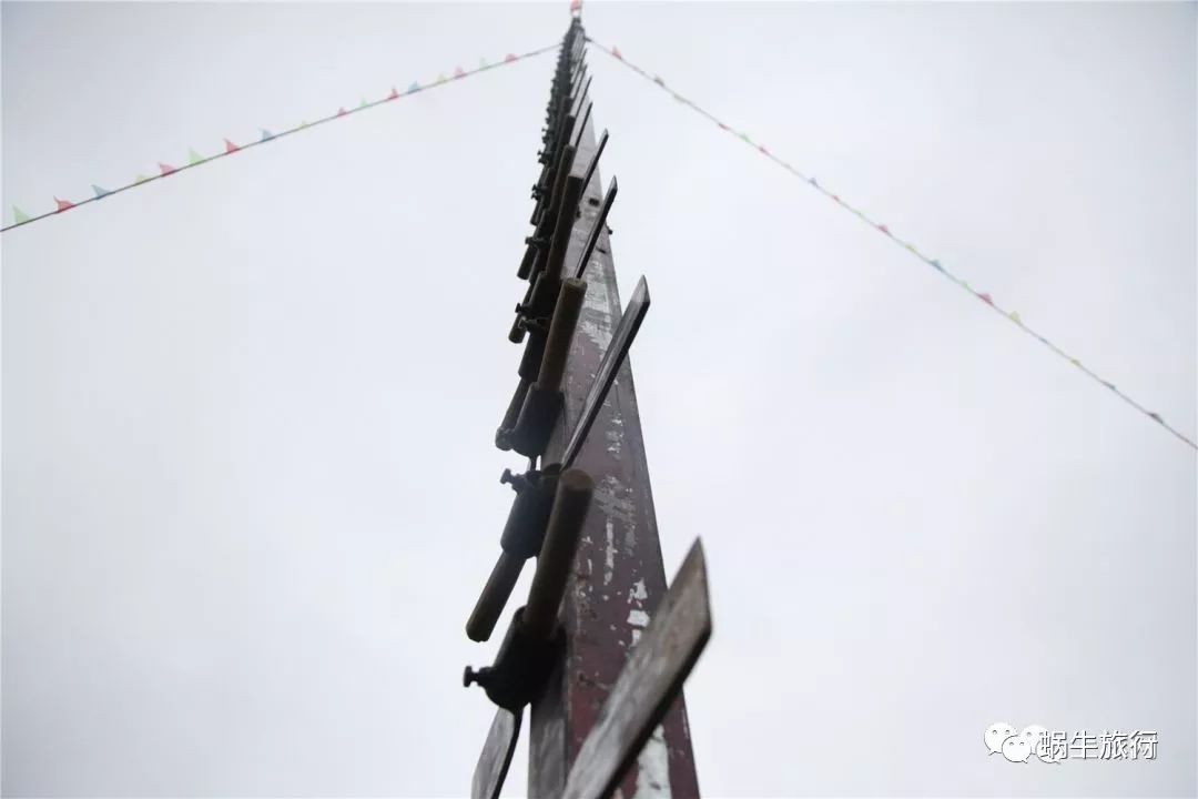 上林葵花节景点,广西上林葵花文化旅游节