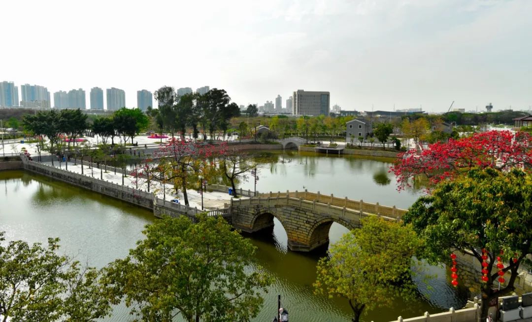 新安、福海、沙井、新桥、燕罗2019年关键词出炉,速度来get!