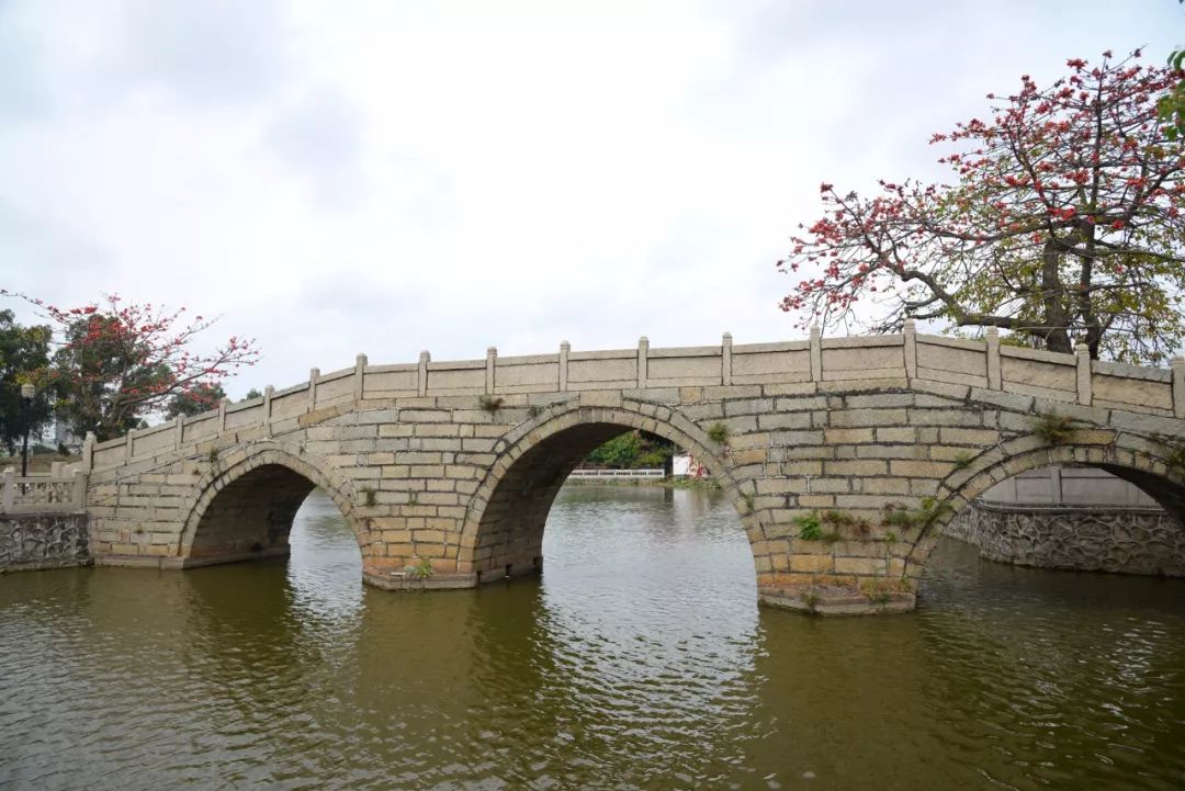 这里是新桥小学,这里是新桥