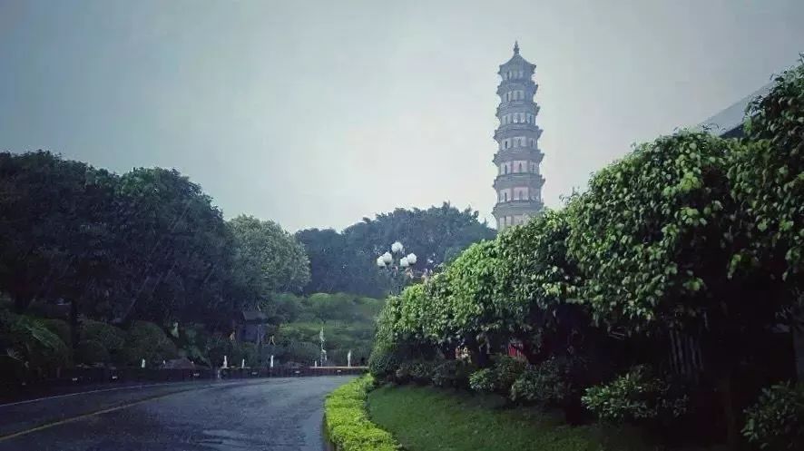 摄影学会了能拍什么,摄影到底应该拍什么