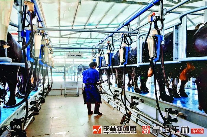 你真的了解博白吗?来了解一下!