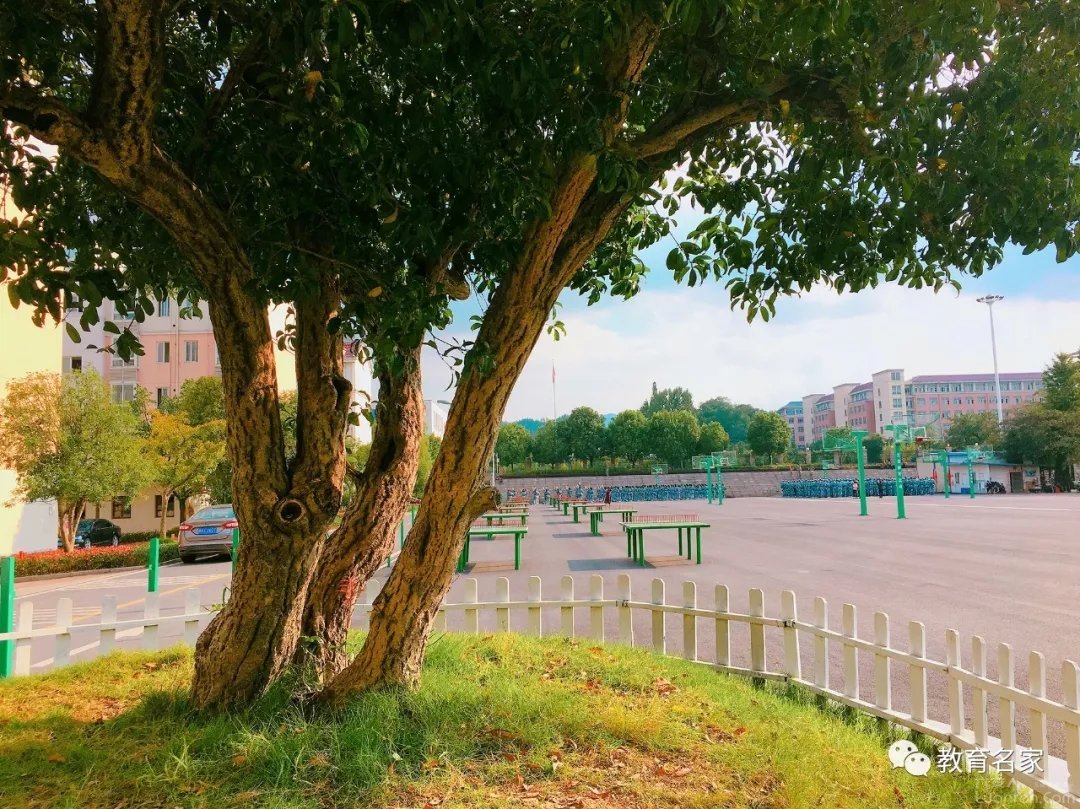 毛坦厂中学与科德教育,毛坦厂中学教育模式