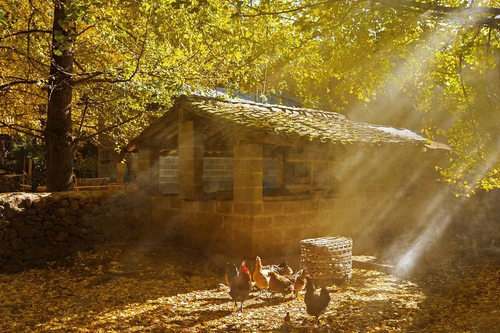 不输日本的农村别墅,顶级私汤酒店
