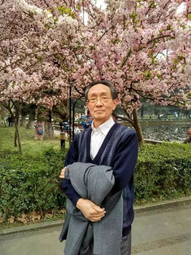 我家的历史,我家的故事摘录